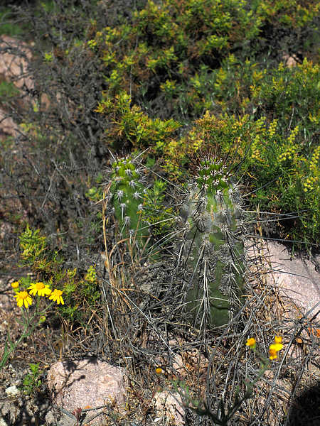 image85