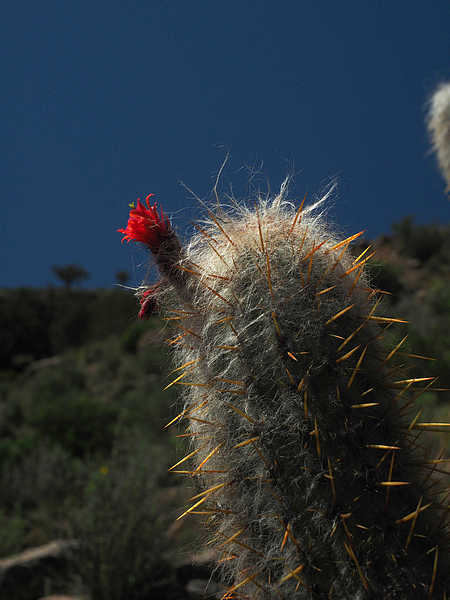 image92