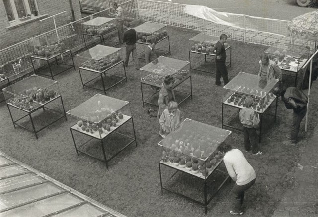 vystava-klubu-kaktusaru-r-1987
