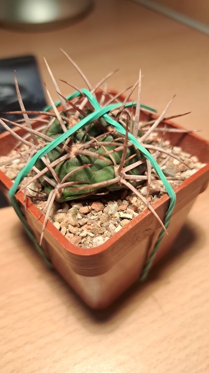 04