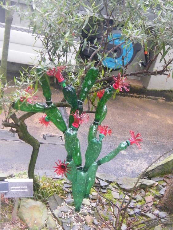 DSCF0003
