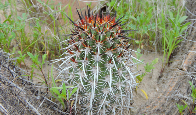 u03