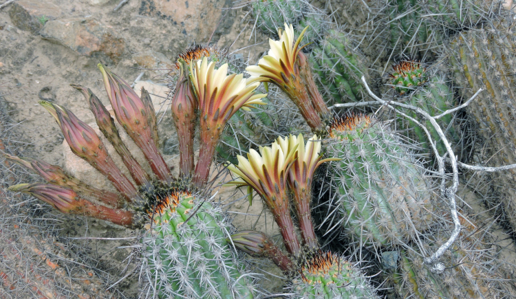 u08