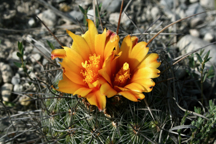 09