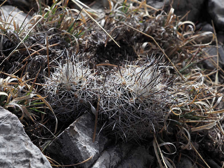 u07