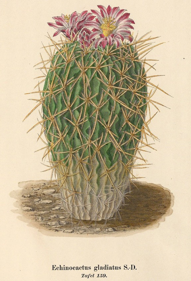 u005