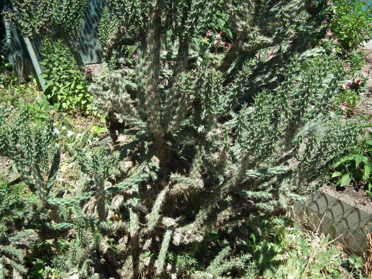 u09