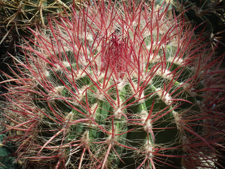 u41