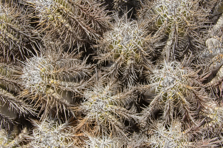 u03