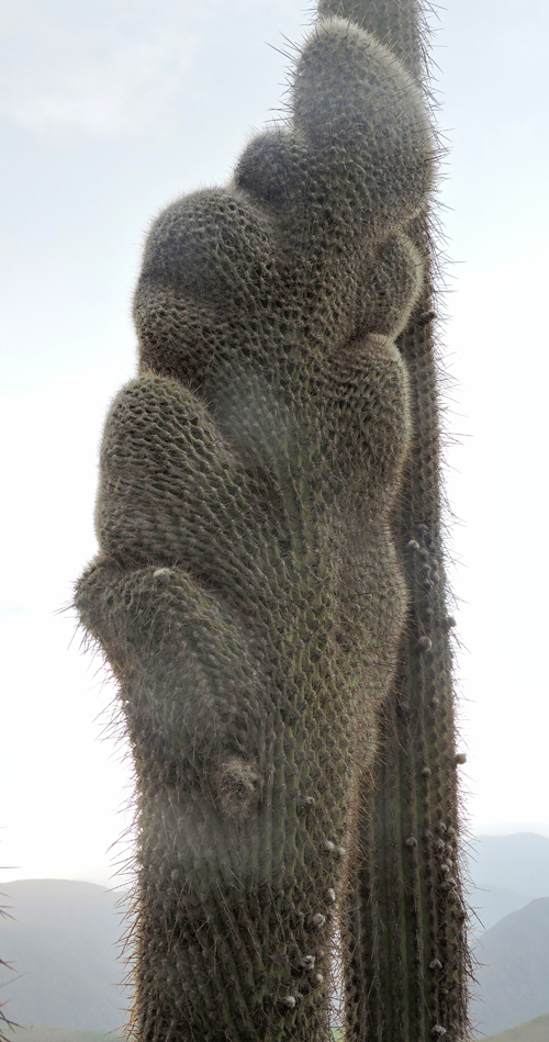 u06
