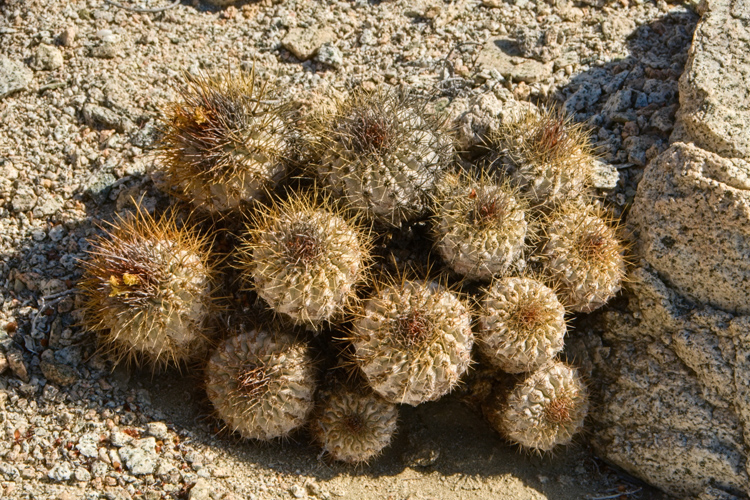 u09