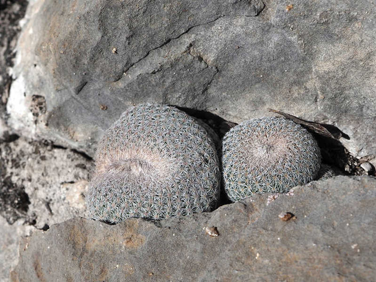 u32