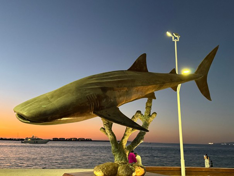 u06